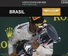 Lewis Hamilton 2016 Brezilya Grand Prix sezonun dokuzuncu zaferini kutluyor ve Rosberg 12 noktalarda yer alıyor